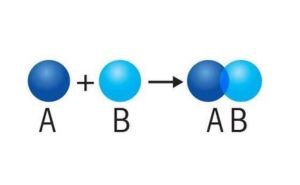 synthesis reactions