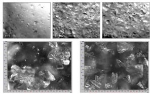 Lactose Crystallization