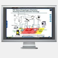 Continuous Flow Chemistry Using PAT