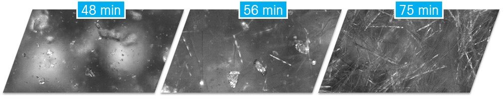 crystal polymorphism example