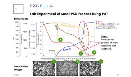 Investigating a Complex Polymorph and Pseudo-Polymorph Landscape