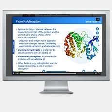 Aluminum Adjuvant Chemistry