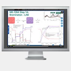 Small Molecule Drug Development with Multi-Scale PAT