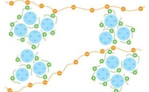 what is flocculation