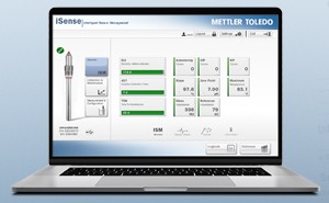 Amperometric Gas Sensors 