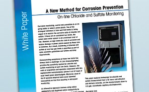 On-line Chloride and Sulfate Monitoring by Microfluidic Capillary Electrophoresis