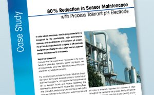 Case Study on Chlor-Alkali Process pH Measurement