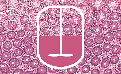 Bioreactor pH Probes