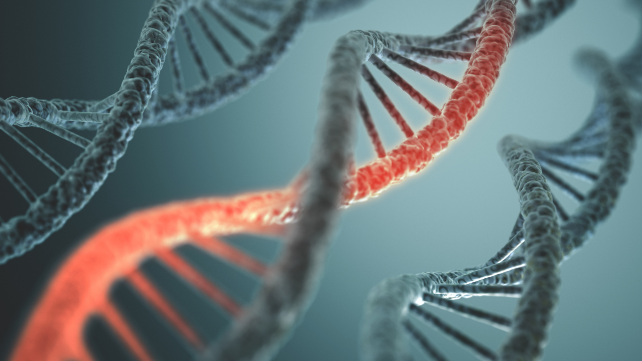 Oligonucleotide Sequence Confirmation