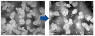 crystal size distribution in crystallization