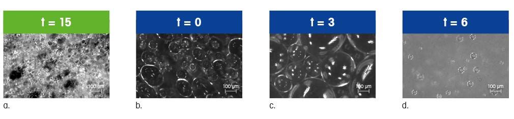 Oil Water Separation Case Study