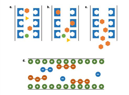 <center>Fig. 2</center>