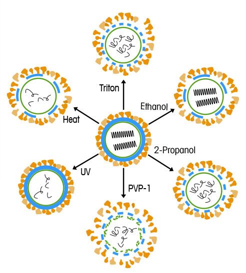 Viral Inactivation in Downstream Processing