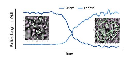 Targeted Particle Shape and Phase