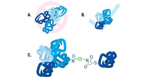 Crystallizing Proteins at Large-Scale