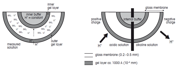 how pH probes work